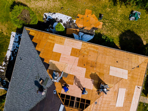 Best Storm Damage Roof Repair  in Branford Center, CT